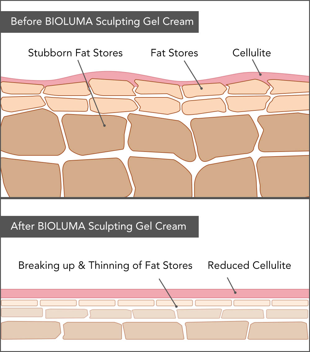 weight loss, fat burn, shred fat diagram